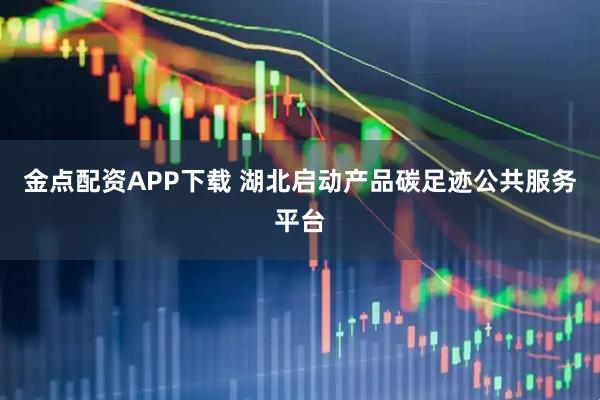 金点配资APP下载 湖北启动产品碳足迹公共服务平台