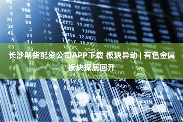 长沙期货配资公司APP下载 板块异动 | 有色金属板块探底回升