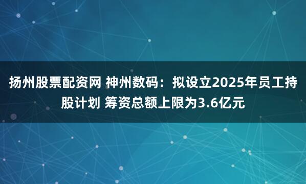 扬州股票配资网 神州数码：拟设立2025年员工持股计划 筹资总额上限为3.6亿元