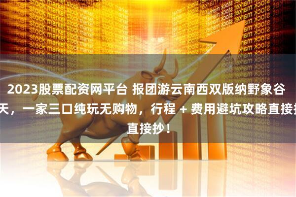 2023股票配资网平台 报团游云南西双版纳野象谷 8 天，一家三口纯玩无购物，行程 + 费用避坑攻略直接抄！